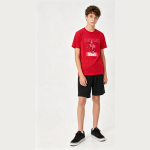 Conjunto Infanto Juvenil