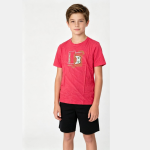 Conjunto Infanto Juvenil